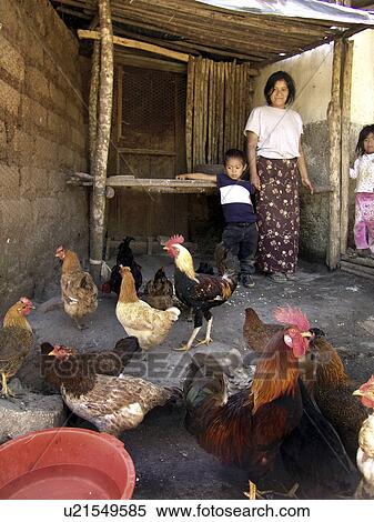 Stock Photography - mother, person, single, honduras, children, people. Fotosearch