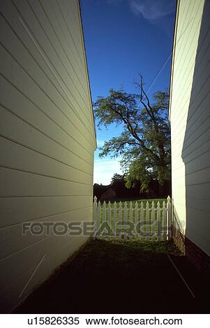 Stock Photography - mt, home, mount, washington, george, tree. Fotosearch