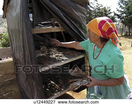 naturopathic, frame, honduras, person, people, fashion View Large Photo Image Stock Photo - naturopathic, frame, honduras, person, people, fashion. Fotosearch