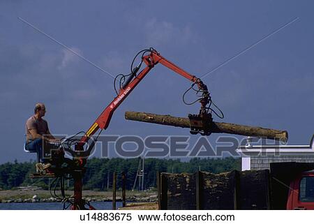 nova, picks, shelburne, log, up, crane View Large Photo Image Stock Photography - nova, picks, shelburne, log, up, crane. Fotosearch