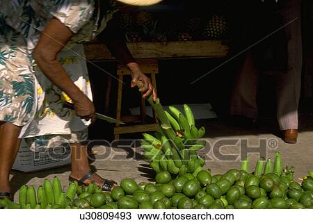 out, food, picking, female, people, woman View Large Photo Image Stock Image - out, food, picking, female, people, woman. Fotosearch