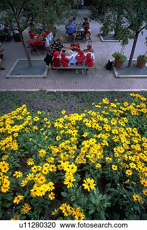 Stock Image - park, school, picnicing, kids, children, flowers. Fotosearch