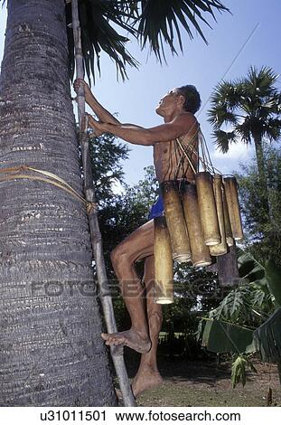 Stock Image - people, 4170, person, fitness, tree. Fotosearch