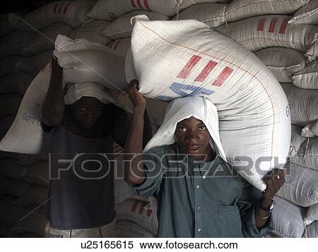 people, bag, grain, person, food View Large Photo Image Stock Photography - people, bag, grain, person, food. Fotosearch