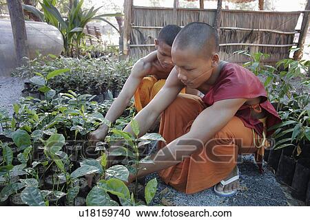 Stock Image - people, than, cambodia, person, tree. Fotosearch