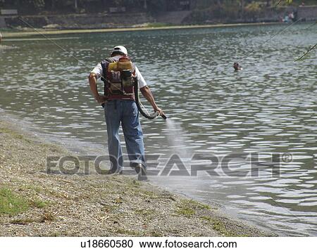 person, cleaning, team, salvador, people View Large Photo Image Stock Image - person, cleaning, team, salvador, people. Fotosearch