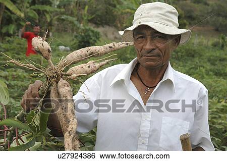 Stock Photograph - person, farmer, brazil, male, people. Fotosearch
