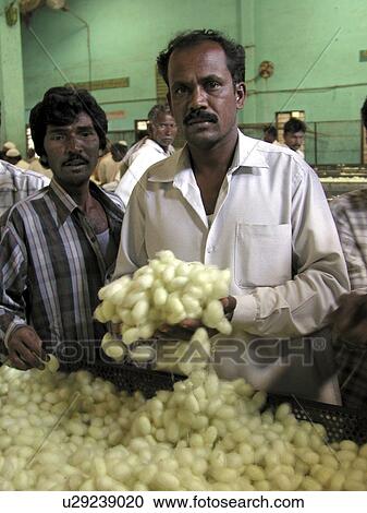 Stock Image - person, nagaraj, india, male, people. Fotosearch