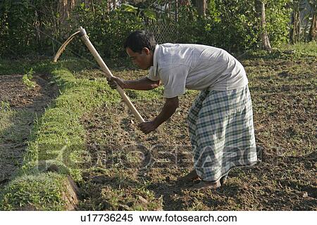person, pathang, farid, bangladesh, people View Large Photo Image Stock Photography - person, pathang, farid, bangladesh, people. Fotosearch