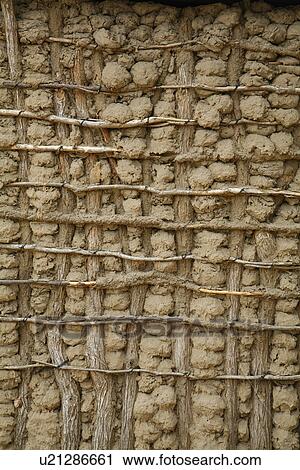 person, people, nature, pattern, border, background View Large Photo Image Stock Image - person, people, nature, pattern, border, background. Fotosearch