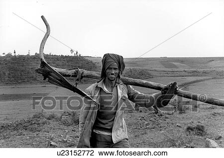 person, white, black, people View Large Photo Image Stock Image - person, white, black, people. Fotosearch