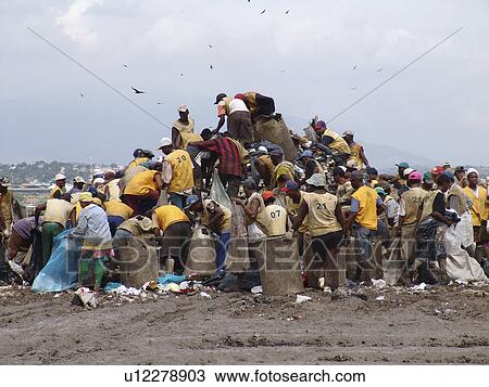 picking, person, scavengers, registered, brazil, people View Large Photo Image Stock Image - picking, person, scavengers, registered, brazil, people. Fotosearch