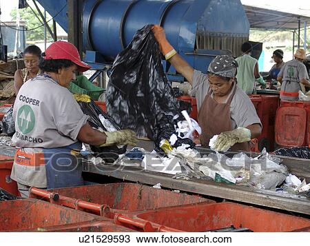 picking, person, scavengers, registered, brazil, people View Large Photo Image Stock Image - picking, person, scavengers, registered, brazil, people. Fotosearch
