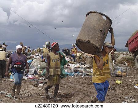 picking, person, scavengers, registered, brazil, people View Large Photo Image Stock Image - picking, person, scavengers, registered, brazil, people. Fotosearch