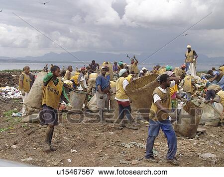 picking, person, scavengers, registered, brazil, people View Large Photo Image Stock Photo - picking, person, scavengers, registered, brazil, people. Fotosearch