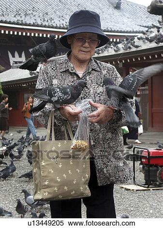 pigeons, people, feeding, japan, person, woman View Large Photo Image Stock Photography - pigeons, people, feeding, japan, person, woman. Fotosearch