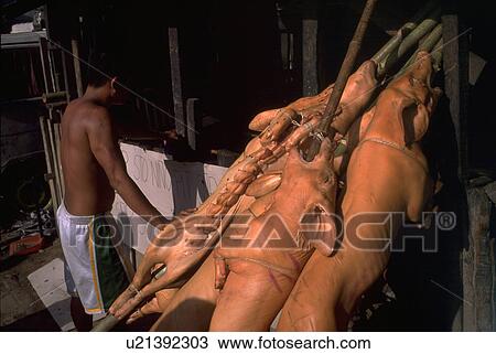 pigs, cebu, market, sticks, food View Large Photo Image Stock Image - pigs, cebu, market, sticks, food. Fotosearch