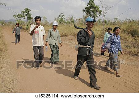 project, person, forestry, community, cambodia, people View Large Photo Image Picture - project, person, forestry, community, cambodia, people. Fotosearch