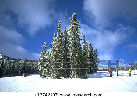 resort, beauty, ski, jasper, skiers, winter View Large Photo Image Stock Photo - resort, beauty, ski, jasper, skiers, winter. Fotosearch