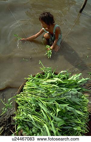 riverbank, river, cambodia, penh, phnom, mekong View Large Photo Image Stock Image - riverbank, river, cambodia, penh, phnom, mekong. Fotosearch