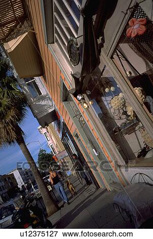 san, dog, view, angled, shopping, woman View Large Photo Image Stock Photo - san, dog, view, angled, shopping, woman. Fotosearch