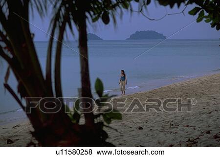 Stock Photo - seen, beach, female, young, tree, woman. Fotosearch