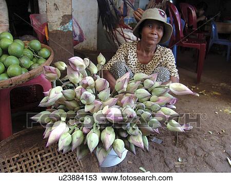 Stock Image - seller, people, lotus, cambodia, person, flower. Fotosearch