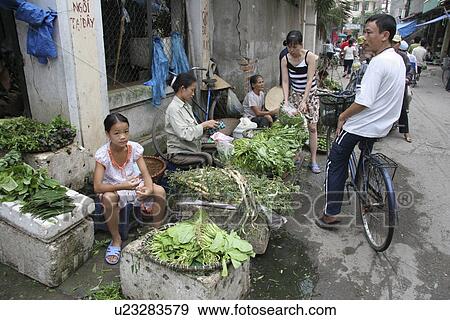 selling, people, female, vietnam, person, woman View Large Photo Image Stock Photo - selling, people, female, vietnam, person, woman. Fotosearch