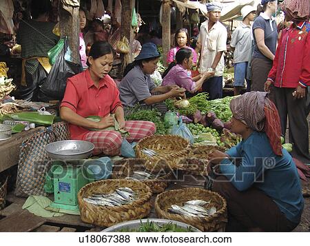 selling, person, trader, cambodia, fish, people View Large Photo Image Stock Photo - selling, person, trader, cambodia, fish, people. Fotosearch