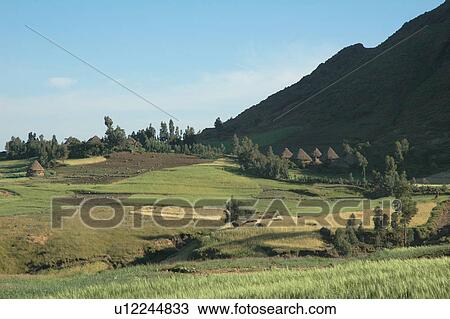 shoa, person, northern, landscapes, ethiopia, people View Large Photo Image Stock Image - shoa, person, northern, landscapes, ethiopia, people. Fotosearch