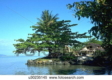 society, house, island, moorea, shore, water View Large Photo Image Stock Photography - society, house, island, moorea, shore, water. Fotosearch