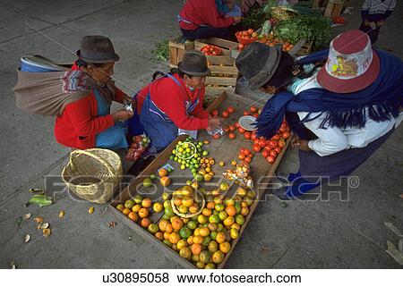south, people, ecuador, sasquisili, fruit, woman View Large Photo Image Stock Photo - south, people, ecuador, sasquisili, fruit, woman. Fotosearch
