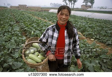 squash, people, china, 7112, person, woman View Large Photo Image Stock Image - squash, people, china, 7112, person, woman. Fotosearch