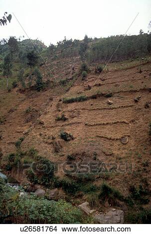 Picture - steep, burundi, o0n, erosion, severe, 3675. Fotosearch