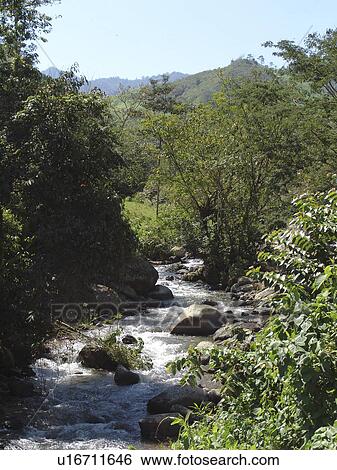 Stock Photograph - stream, person, mountain, pristine, honduras, people. Fotosearch