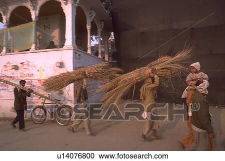 Stock Image - street, peasants, straw, bound, carrying, indian. Fotosearch