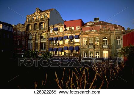 street, row, portugal, porto, buildings, tree View Large Photo Image Stock Photography - street, row, portugal, porto, buildings, tree. Fotosearch