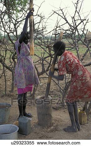 sudan, people, south, women, person, food View Large Photo Image Stock Photography - sudan, people, south, women, person, food. Fotosearch