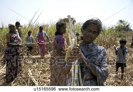 Stock Photograph - sugar, person, 40, earamma, india, people. Fotosearch