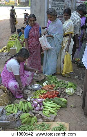tamil, person, thakalie, market, india, people View Large Photo Image Stock Image - tamil, person, thakalie, market, india, people. Fotosearch