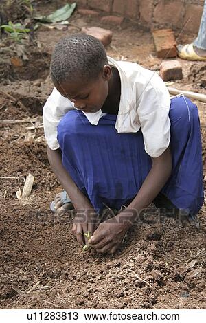 tanzania, girl, kid, person, child, people View Large Photo Image Stock Image - tanzania, girl, kid, person, child, people. Fotosearch