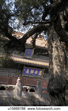 temple, person, confuscian, china, 7149, people View Large Photo Image Stock Photo - temple, person, confuscian, china, 7149, people. Fotosearch