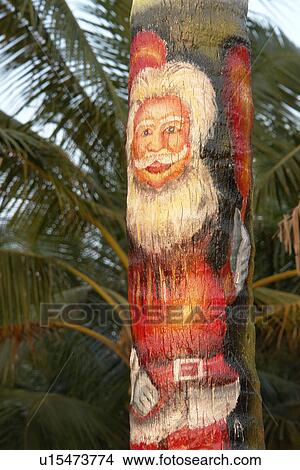 Picture - texture, beach, nature, pattern, tree, christmas. Fotosearch