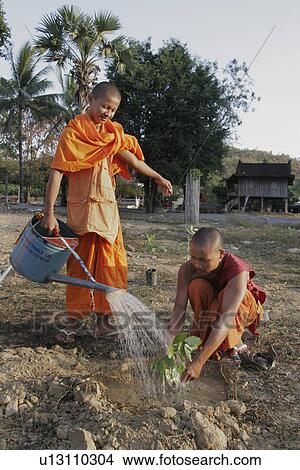 than, tree, cambodia, person, people, water View Large Photo Image Picture - than, tree, cambodia, person, people, water. Fotosearch