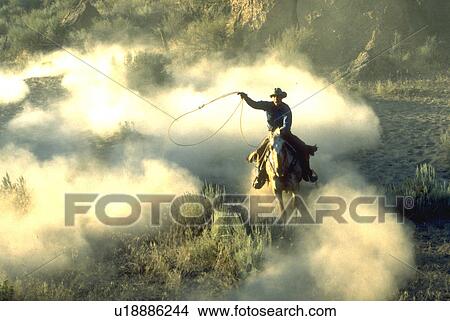 through, cowboy, riding, lasso, swinging, one View Large Photo Image Picture - through, cowboy, riding, lasso, swinging, one. Fotosearch