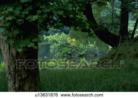 through, nature, viewed, park, pond, water View Large Photo Image Stock Photograph - through, nature, viewed, park, pond, water. Fotosearch