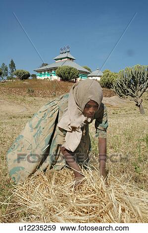 Stock Photo - tigray, people, ghiraltar, ethiopia, person, woman. Fotosearch