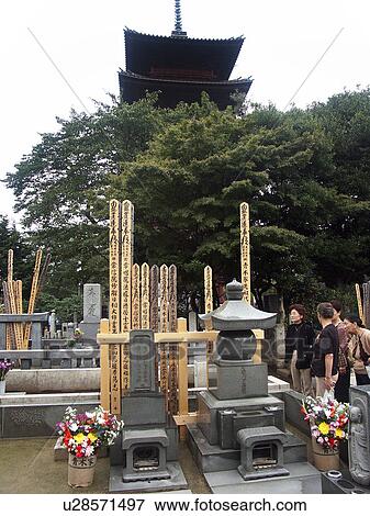 tokyo, person, cemetery, buddhist, japan, people View Large Photo Image Stock Photo - tokyo, person, cemetery, buddhist, japan, people. Fotosearch