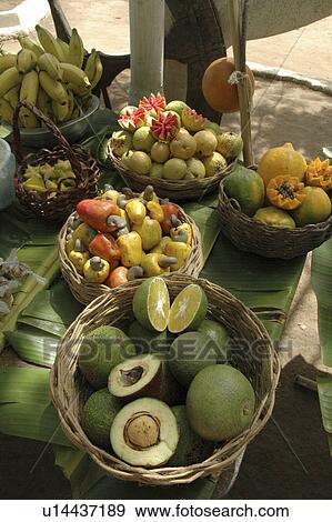 Stock Photo - tropical, pattern, brazil, person, nature, people. Fotosearch