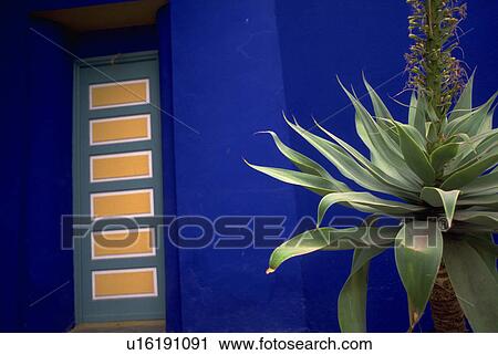 Stock Image - unusual, architecture, plant, marrakech, morocco, moroccan. Fotosearch